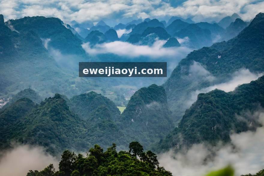 伟德体育 从青训营到职业赛场：一位数据分析师眼中的球员成长轨迹
